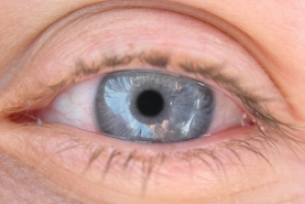 Couple Nudist Beach Vacation - #34