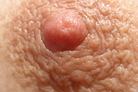 Couple Nudist Beach Vacation - #37